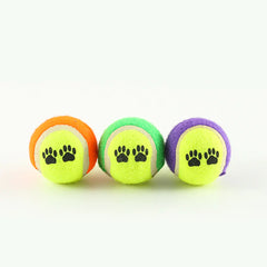 Pet Ball Launcher for Dog Training
